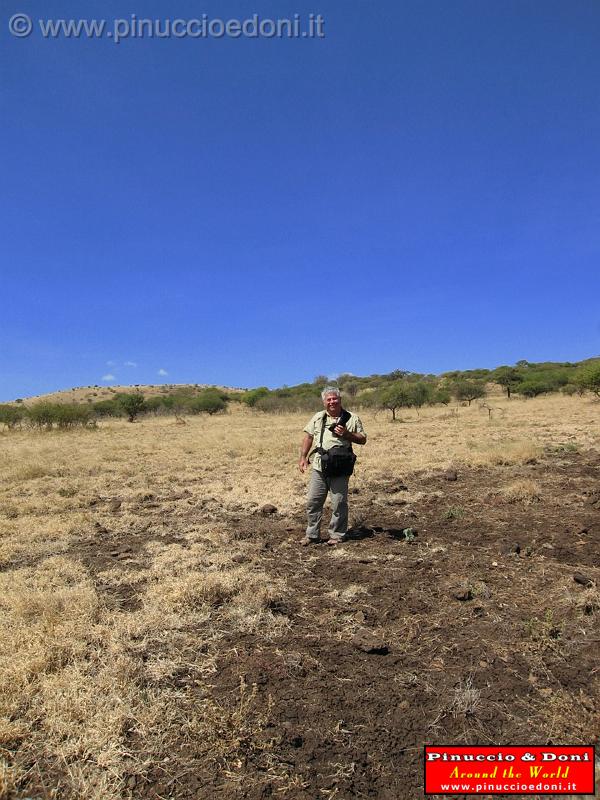 Ethiopia - Netch Sar Park - 87 - Nechisar.jpg